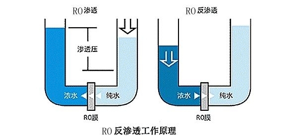 圖片13.jpg